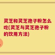 灵芝和灵芝孢子粉怎么吃(灵芝与灵芝孢子粉的饮用方法)