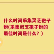 什么时间采集灵芝孢子粉(采集灵芝孢子粉的最佳时间是什么？)