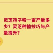灵芝孢子粉一亩产量多少？灵芝种植技巧与产量提升？