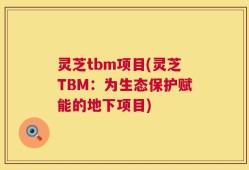 灵芝tbm项目(灵芝TBM：为生态保护赋能的地下项目)