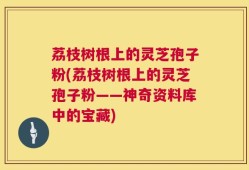 荔枝树根上的灵芝孢子粉(荔枝树根上的灵芝孢子粉——神奇资料库中的宝藏)