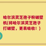 哈尔滨灵芝孢子粉破壁机(将哈尔滨灵芝孢子打破壁，更易吸收！)