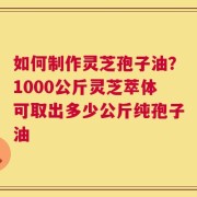如何制作灵芝孢子油？1000公斤灵芝萃体可取出多少公斤纯孢子油