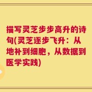 描写灵芝步步高升的诗句(灵芝逐步飞升：从地补到细胞，从数据到医学实践)