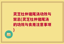 灵芝杜仲猪尾汤功效与禁忌(灵芝杜仲猪尾汤的功效与食用注意事项)