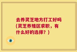 去养灵芝地方打工好吗(灵芝养殖区求职，有什么好的选择？)