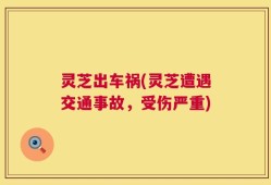灵芝出车祸(灵芝遭遇交通事故，受伤严重)