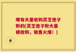 哪有大量收购灵芝孢子粉的(灵芝孢子粉大量被收购，销售火爆！)