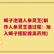 蝎子泡酒人参灵芝(制作人参灵芝酒过程：加入蝎子搭配提高药效)
