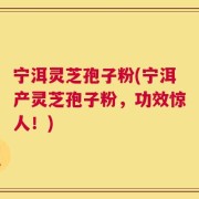 宁洱灵芝孢子粉(宁洱产灵芝孢子粉，功效惊人！)
