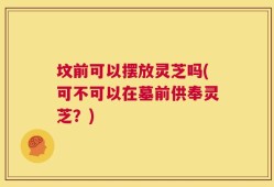 坟前可以摆放灵芝吗(可不可以在墓前供奉灵芝？)