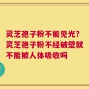 灵芝孢子粉不能见光？灵芝孢子粉不经破壁就不能被人体吸收吗