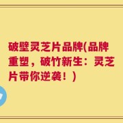破壁灵芝片品牌(品牌重塑，破竹新生：灵芝片带你逆袭！)