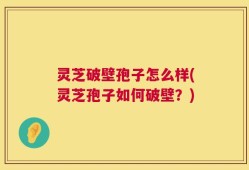 灵芝破壁孢子怎么样(灵芝孢子如何破壁？)
