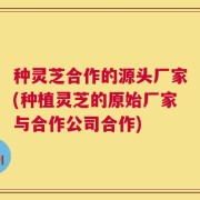 种灵芝合作的源头厂家(种植灵芝的原始厂家与合作公司合作)