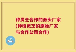 种灵芝合作的源头厂家(种植灵芝的原始厂家与合作公司合作)
