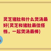 灵芝猪肚和什么煲汤最好(灵芝和猪肚最佳搭档，一起煲汤最棒)