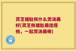 灵芝猪肚和什么煲汤最好(灵芝和猪肚最佳搭档，一起煲汤最棒)