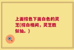 上面棕色下面白色的灵芝(棕白相间，灵芝胜似仙。)