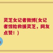 灵芝女记者微博(女记者惊险救援灵芝，网友点赞！)