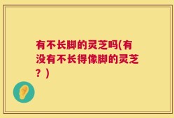 有不长脚的灵芝吗(有没有不长得像脚的灵芝？)