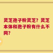 灵芝孢子粉灵芝？灵芝本体和孢子粉有什么不同？