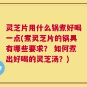 灵芝片用什么锅煮好喝一点(煮灵芝片的锅具有哪些要求？ 如何煮出好喝的灵芝汤？)