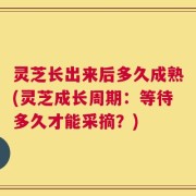 灵芝长出来后多久成熟(灵芝成长周期：等待多久才能采摘？)