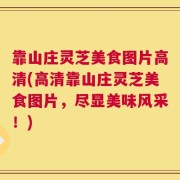 靠山庄灵芝美食图片高清(高清靠山庄灵芝美食图片，尽显美味风采！)