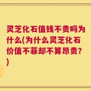 灵芝化石值钱不贵吗为什么(为什么灵芝化石价值不菲却不算昂贵？)