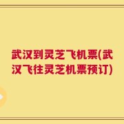 武汉到灵芝飞机票(武汉飞往灵芝机票预订)