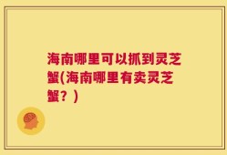 海南哪里可以抓到灵芝蟹(海南哪里有卖灵芝蟹？)