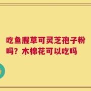 吃鱼腥草可灵芝孢子粉吗？木棉花可以吃吗