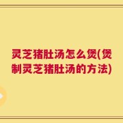 灵芝猪肚汤怎么煲(煲制灵芝猪肚汤的方法)