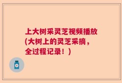 上大树采灵芝视频播放(大树上的灵芝采摘，全过程记录！)