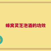 蜂窝灵芝泡酒的功效