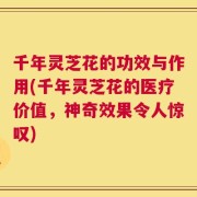 千年灵芝花的功效与作用(千年灵芝花的医疗价值，神奇效果令人惊叹)