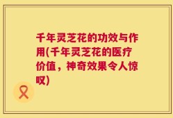 千年灵芝花的功效与作用(千年灵芝花的医疗价值，神奇效果令人惊叹)