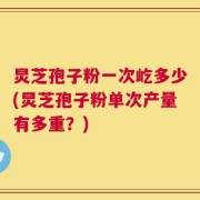 炅芝孢子粉一次屹多少(炅芝孢子粉单次产量有多重？)