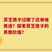 灵芝孢子过期了还有啥用途？探索灵芝孢子的其他价值？