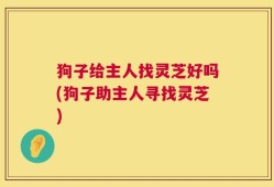 狗子给主人找灵芝好吗(狗子助主人寻找灵芝)