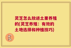 灵芝怎么放进土里养殖的(灵芝养殖：有效的土地选择和种植技巧)