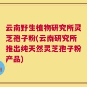 云南野生植物研究所灵芝孢子粉(云南研究所推出纯天然灵芝孢子粉产品)
