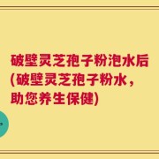 破壁灵芝孢子粉泡水后(破壁灵芝孢子粉水，助您养生保健)