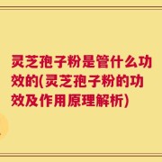 灵芝孢子粉是管什么功效的(灵芝孢子粉的功效及作用原理解析)