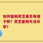 如何鉴别灵芝是否有孢子粉？灵芝鉴别方法分享？