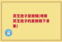 灵芝孢子显微镜(观察灵芝孢子的显微镜下景象)