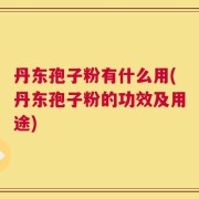 丹东孢子粉有什么用(丹东孢子粉的功效及用途)