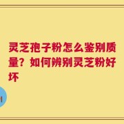 灵芝孢子粉怎么鉴别质量？如何辨别灵芝粉好坏