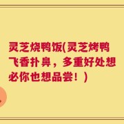 灵芝烧鸭饭(灵芝烤鸭飞香扑鼻，多重好处想必你也想品尝！)